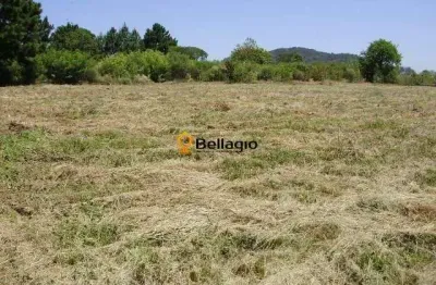 Terreno à venda diácono joão luiz pozzobon santa maria/rs