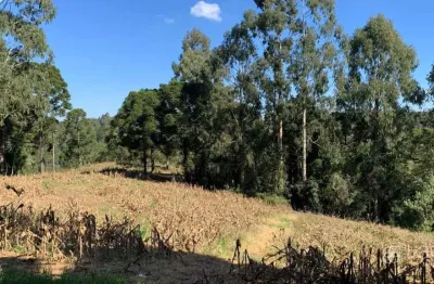 Chácara / sítio à venda no Centro, Carambeí 