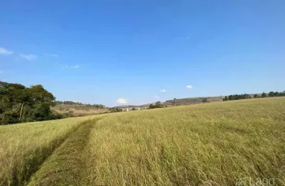 Chácara / sítio à venda no Uvaranas, Ponta Grossa 