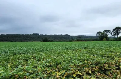 Chácara / sítio à venda na Rua Bernardo Guimarães, Colônia Dona LuÍza, Ponta Grossa