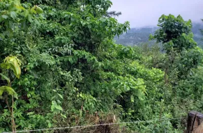 Chácara / sítio à venda em Itaiacoca, Ponta Grossa 