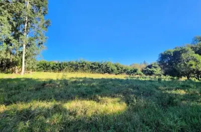 Terreno à venda na Rua Padre José Bugatti, Colônia Dona LuÍza, Ponta Grossa