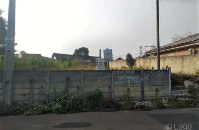 Terreno à venda na Marques De Maricá, Orfãs, Ponta Grossa