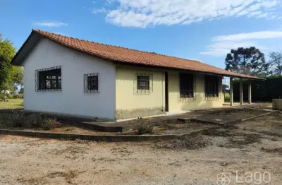 Chácara / sítio com 5 quartos à venda na Avenida dos Pioneiros, Centro, Carambeí