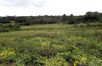 Chácara / sítio à venda no Centro, Palmeira 