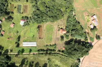 Chácara / sítio com 3 quartos à venda no Centro, Teixeira Soares 