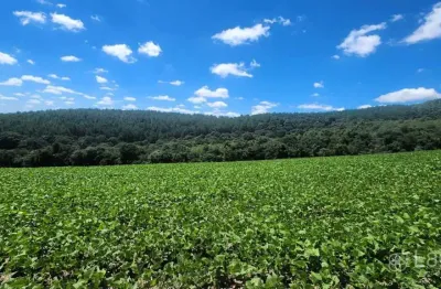 Chácara / sítio à venda no Centro, Prudentópolis 