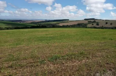 Chácara / sítio à venda no Centro, Carambeí 