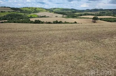 Chácara / sítio à venda no Centro, Nova Laranjeiras 