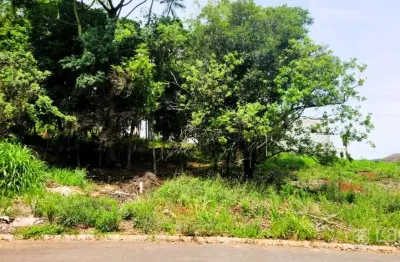 Terreno à venda na Rua Tomio Kawamura, Estrela, Ponta Grossa