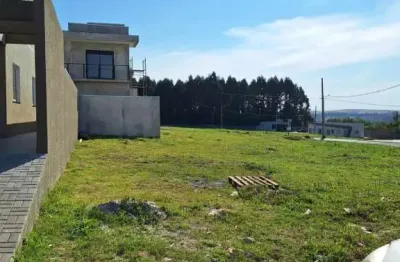 Terreno à venda na Rua Demétrio Batista, Colônia Dona LuÍza, Ponta Grossa