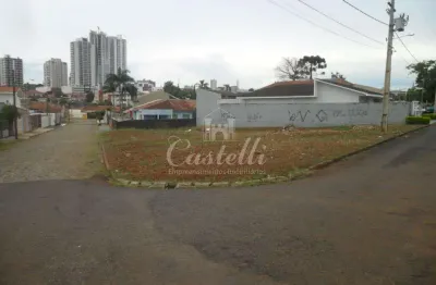 Terreno à venda na Rua Pedro Américo, Oficinas, Ponta Grossa