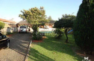 Terreno à venda na Rua Latino Coelho, 485, Colônia Dona LuÍza, Ponta Grossa