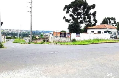 Terreno à venda na Rua Doutor João Cecy Filho, Uvaranas, Ponta Grossa