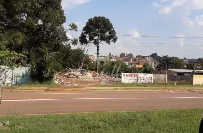 Terreno à venda na Rua Rio Negro, 1086, Uvaranas, Ponta Grossa