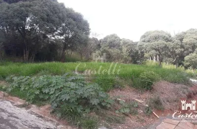 Terreno à venda na Said Ajuz, 28, Estrela, Ponta Grossa