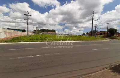 Terreno para locação, jardim carvalho, ponta grossa - pr