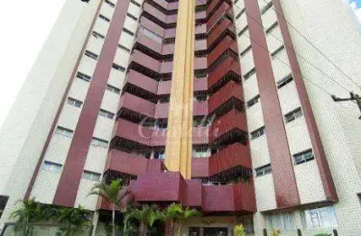 Apartamento com 2 quartos à venda na Rua Coronel Theodoro Rosas, 558, Centro, Ponta Grossa