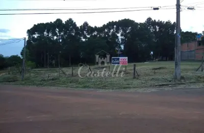 Terreno à venda na Rua Paulo Setúbal, 139, Uvaranas, Ponta Grossa