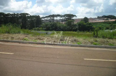Terreno à venda na Rua Odenir Dimbarre, Uvaranas, Ponta Grossa