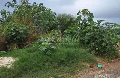 Terreno à venda na Rua Lagoa Rodrigo de Freitas, Oficinas, Ponta Grossa