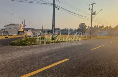 Terreno à venda, jardim carvalho, ponta grossa - pr