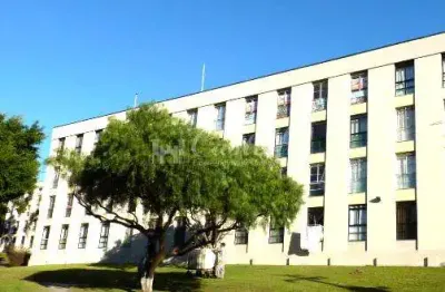 Apartamento à venda, jardim carvalho, ponta grossa - pr