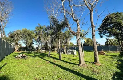 Terreno à venda, colonia dona luiza, em ponta grossa - pr