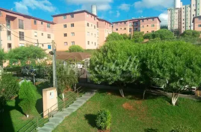 Apartamento para locação, residencial são luiz, estrela, ponta grossa - pr