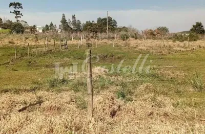 Terreno à venda, vila estrela, rua said ajuz ponta grossa - pr