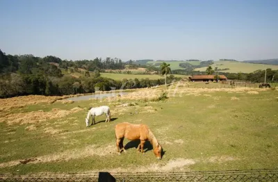 Chácara à venda em palmeira pr, colonia francesa, palmeira - pr