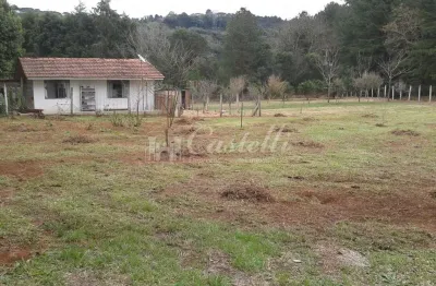 Casa com 1 quarto para alugar na Rua Francisco Galvão, Chapada, Ponta Grossa