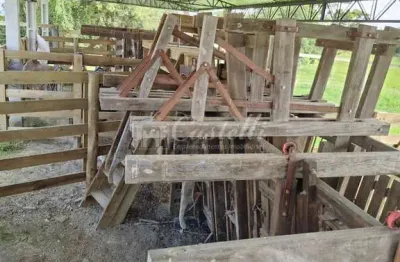 Chácara / sítio à venda na Centro, Centro, Reserva