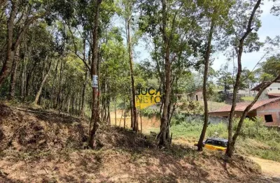 Terreno à venda, 3250 m² por r$ 320.000,00 - vila oásis - ribeirão pires/sp