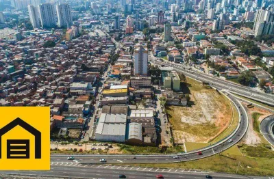 Terreno para alugar, 6845 m² por R$ 96.875,00/mês - Centro - São Bernardo do Campo/SP