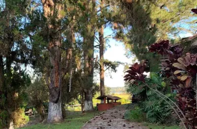 Sítio com 6 quartos, taiaçupeba, mogi das cruzes - r$ 2.5 mi, cod: 267