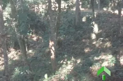 Terreno à venda em Ipiabas, Barra do Piraí 