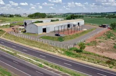 Barracão / Galpão / Depósito para alugar na Rodovia BR-153, Fazenda Palhinha (Zona Rural), São José do Rio Preto