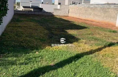 Terreno à venda, 231 m² por R$ 170.000 - Residencial Maza - São José do Rio Preto/SP