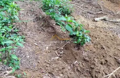 À venda - terreno no araribá - praia da maranduba - ubatuba/sp
