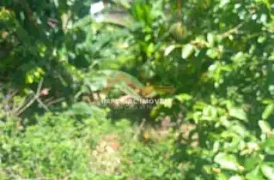 À venda  - terreno no são francisco - são sebastião/sp