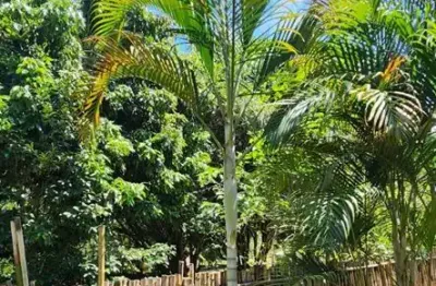 Chácara em biritiba mirim bairro do nirvana 2 casas independentes mega oportunidade