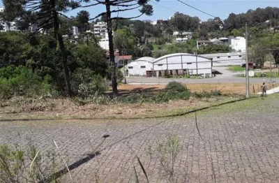 Terreno à venda no Vinhedos, Caxias do Sul 