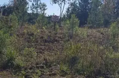 Terreno à venda no São Luiz, Caxias do Sul 