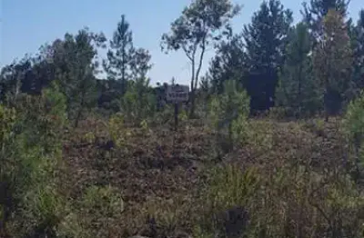 Terreno à venda no São Luiz, Caxias do Sul 
