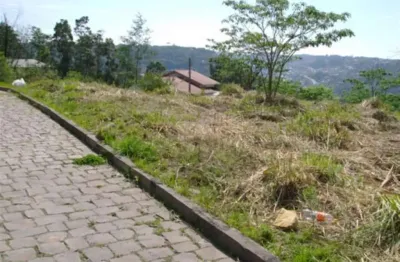 Terreno à venda no Salgado Filho, Caxias do Sul 