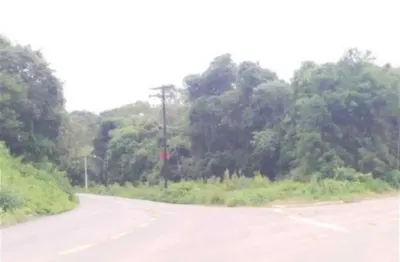 Terreno à venda em Linha Feijó, Caxias do Sul 