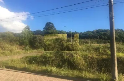 Terreno à venda no Monte Bérico, Caxias do Sul 