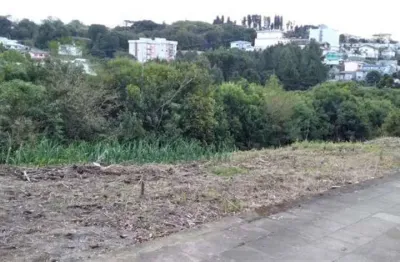 Terreno à venda no Nova Vicenza, Farroupilha 