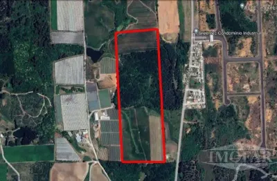 Terreno à venda na Linha Palmeiro, Farroupilha 